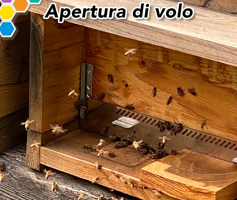 Febbraio: Verifica e pulizie invernali
