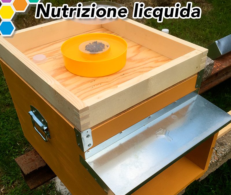 Marzo: inizio del mese