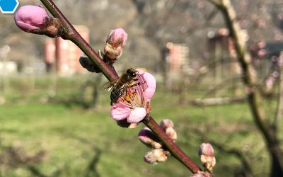 Marzo: metà e fine mese