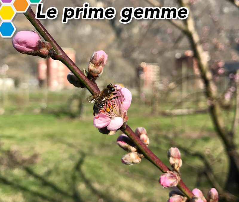 Marzo: metà e fine mese