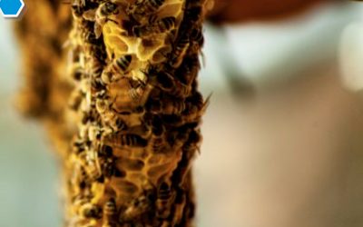 Maggio e prevenzione: La Scrollatura